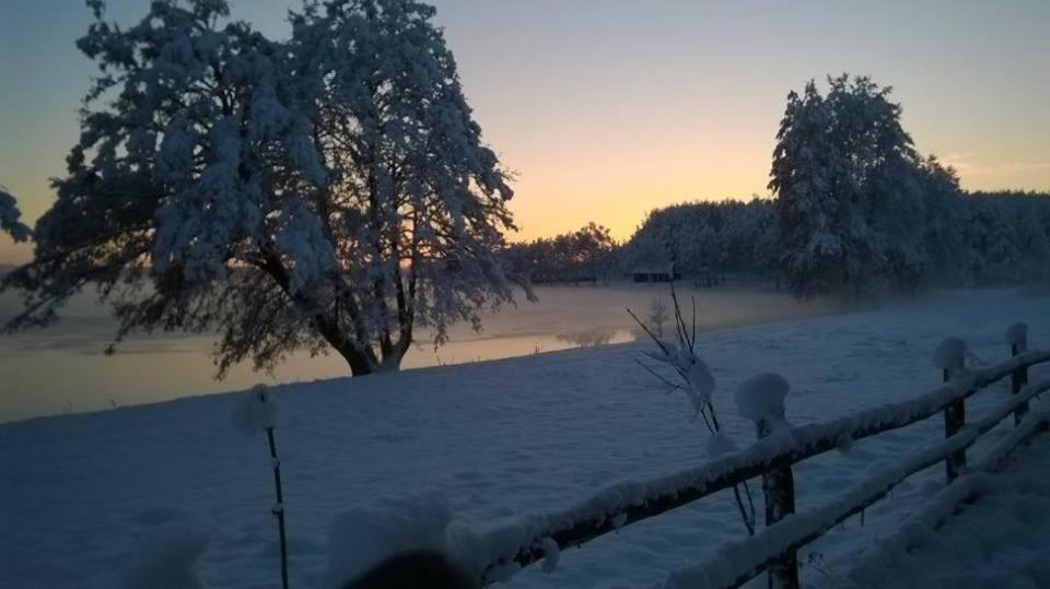 Agroturystyka Skoszewo Bagian luar foto